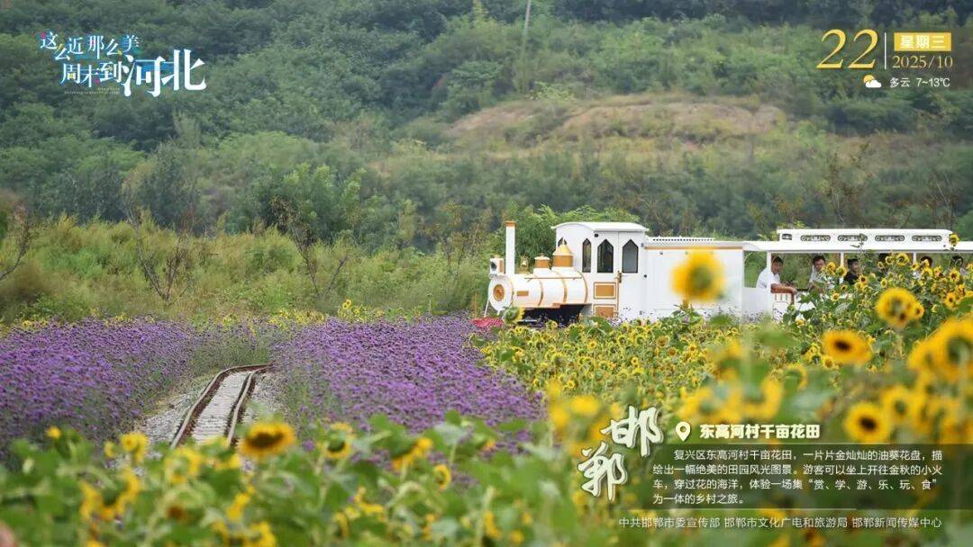 “人工智能+”行动<strong></p>
<p>上海贝岭股票</strong>!河北最新发布