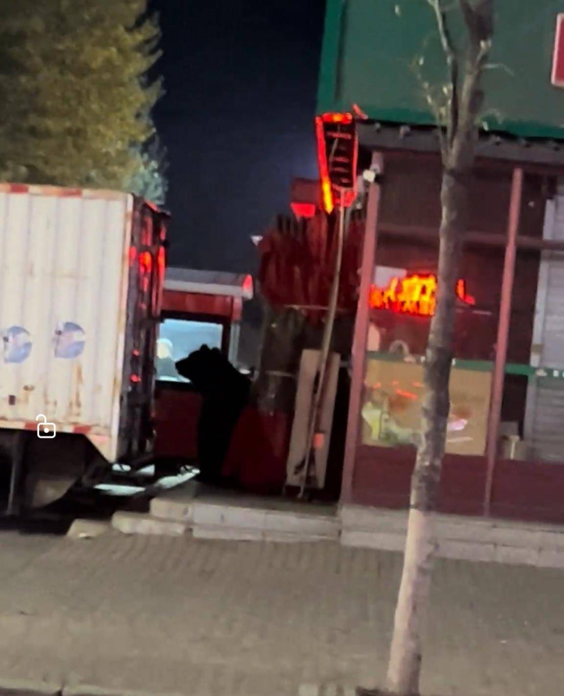 大黑熊夜里独闯黑龙江一县城闹市区<strong></p>
<p>长江电力股票</strong>,警方连开10多枪击毙,回应为何没用麻醉枪