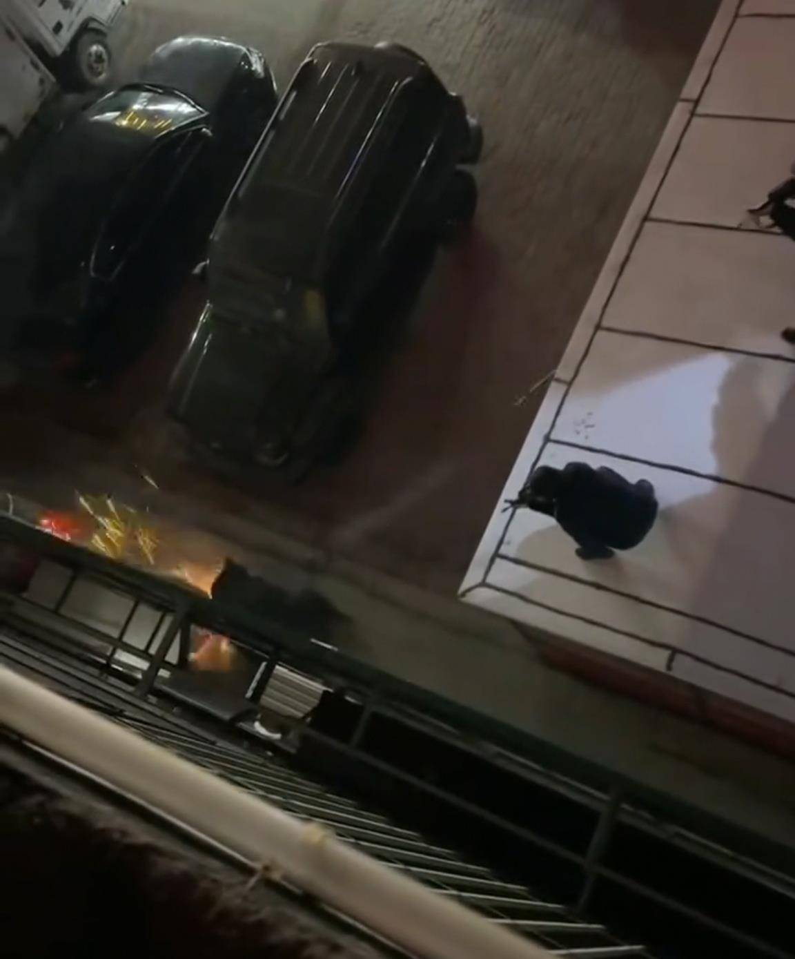 大黑熊夜里独闯黑龙江一县城闹市区<strong></p>
<p>长江电力股票</strong>,警方连开10多枪击毙,回应为何没用麻醉枪