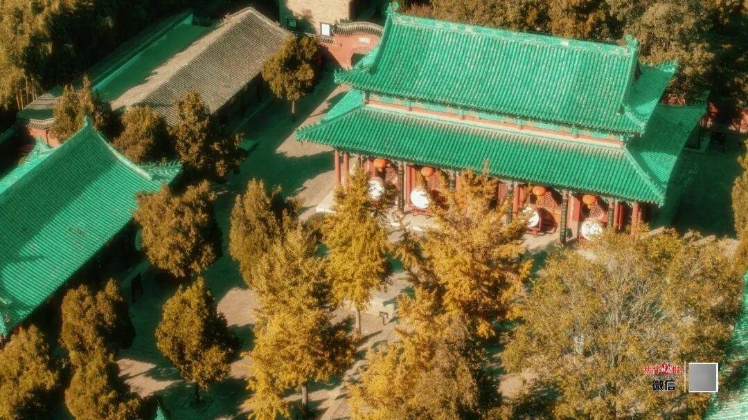 银杏金黄<strong></p>
<p>长江电力股票</strong>!铺满焦作的秋天!