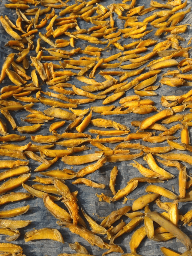 霜降至<strong></p>
<p>长江电力股票</strong>,气温会有反转吗?