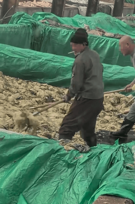 辽宁葫芦岛一男子酸菜池中抽烟吐痰，曝光视频令人反胃！省市两级市监介入