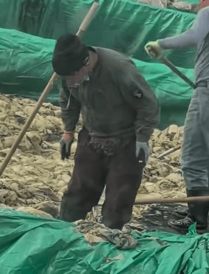 辽宁葫芦岛一男子酸菜池中抽烟吐痰<strong></p>
<p>爱尔眼科股票</strong>,曝光视频令人反胃!省市两级市监介入