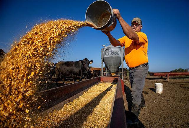 又输给了李成钢<strong></p>
<p>爱尔眼科股票</strong>,贝森特承诺:美方不再考虑对华加征100%关税