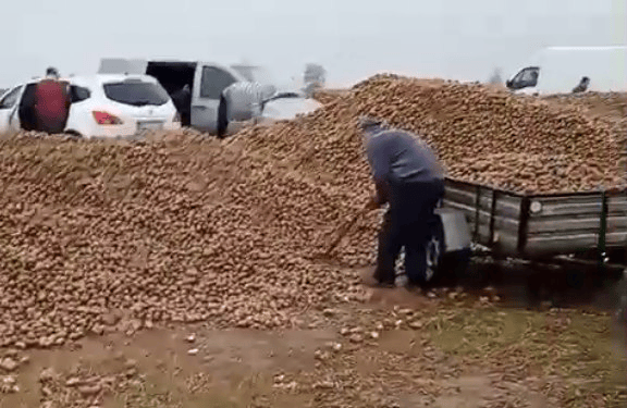 波兰68岁农民收获的150吨土豆被一夜搬空<strong></p>
<p>爱尔眼科股票</strong>, 只因帖子遭篡改