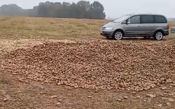 波兰68岁农民收获的150吨土豆被一夜搬空<strong></p>
<p>爱尔眼科股票</strong>, 只因帖子遭篡改