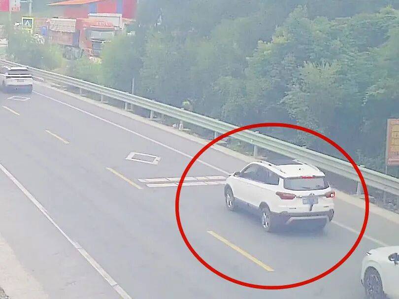 司机将两只老鼠挂后窗雨刮器上:“回家给猫吃”<strong></p>
<p>韦尔股份股票</strong>,交警:遮挡车牌扣9分