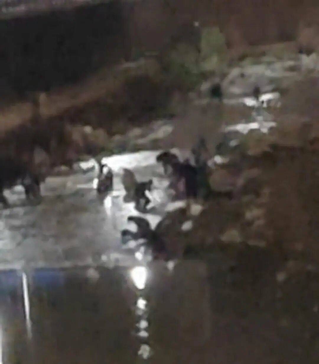 “一盆出5克多”<strong></p>
<p>三一重工股票</strong>,多人凌晨下河淘金!当地警方回应