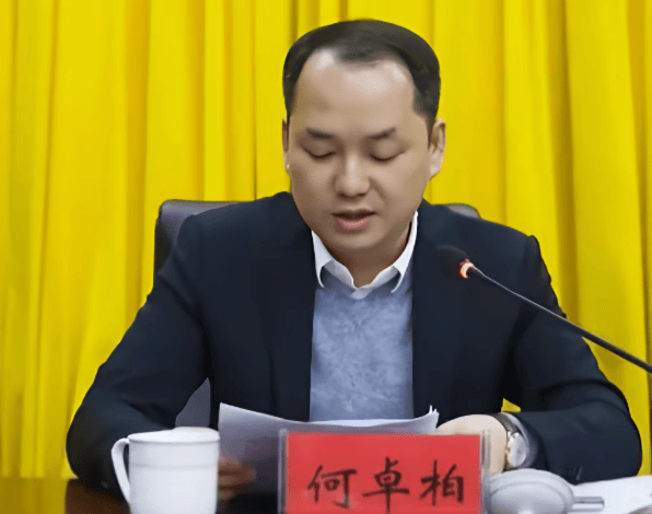 何卓柏<strong></p>
<p>三一重工股票</strong>,严重违纪违法