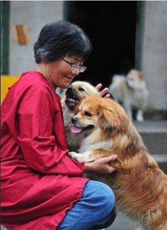 合肥卖房救助流浪狗的魏阿姨离世<strong></p>
<p>阿里巴巴股票</strong>,病中仍然惦记着基地的600只流浪狗,工人:不敢相信世上还有这样执着的人