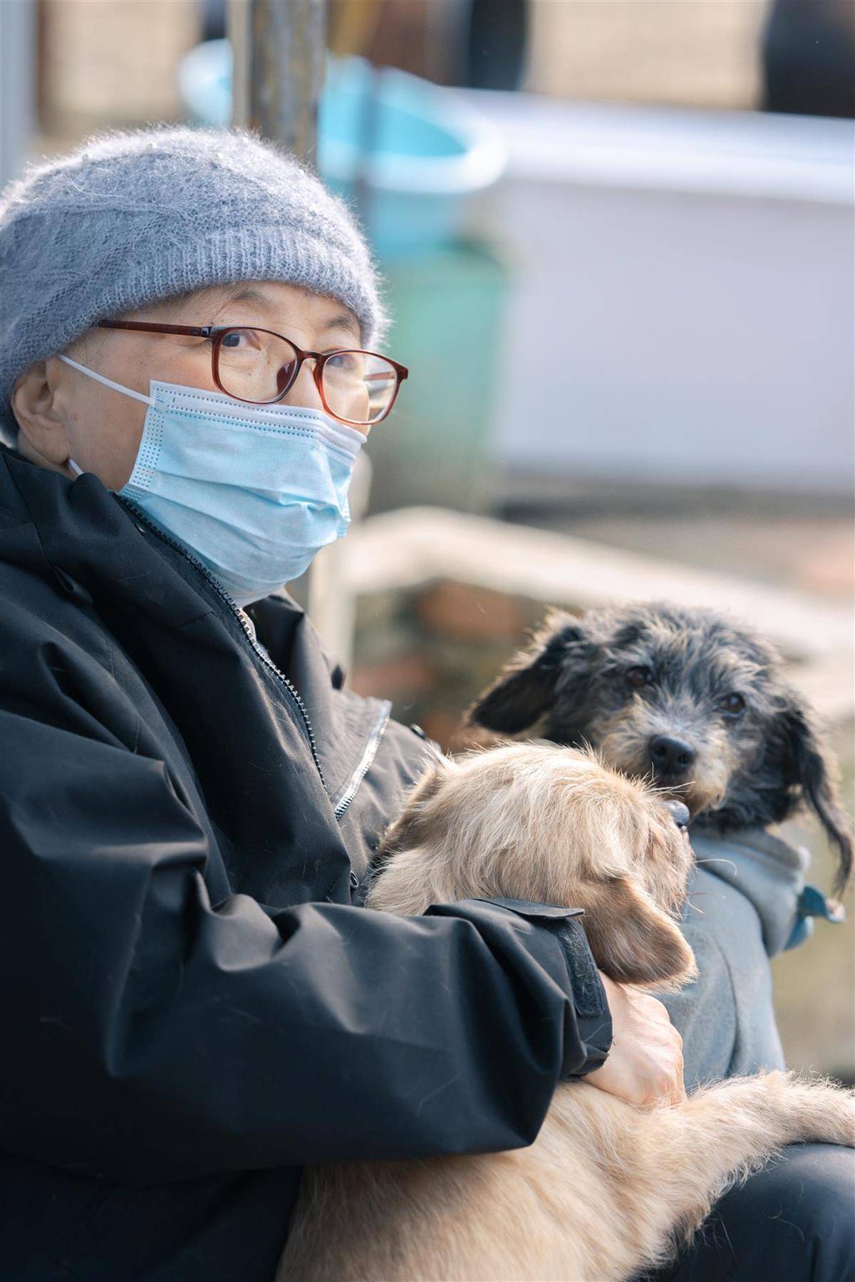 合肥卖房救助流浪狗的魏阿姨离世<strong></p>
<p>阿里巴巴股票</strong>,病中仍然惦记着基地的600只流浪狗,工人:不敢相信世上还有这样执着的人