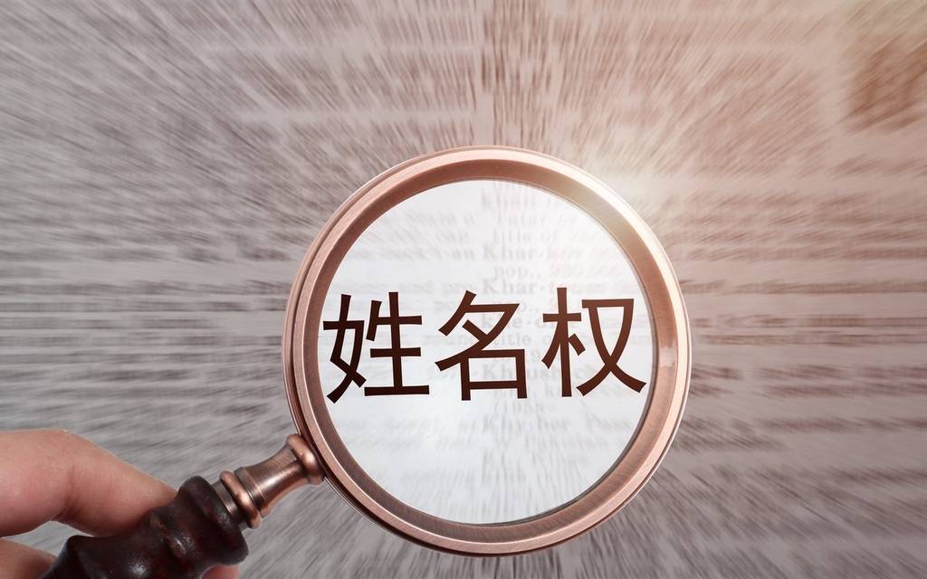 “丽春”改名<strong></p>
<p>海康威视股票</strong>,要什么“精神证明”?| 新京报快评