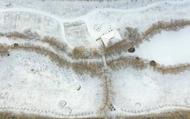 百年难遇“早立冬”来了<strong></p>
<p>通富微电股票</strong>!有啥讲究?早看早准备!