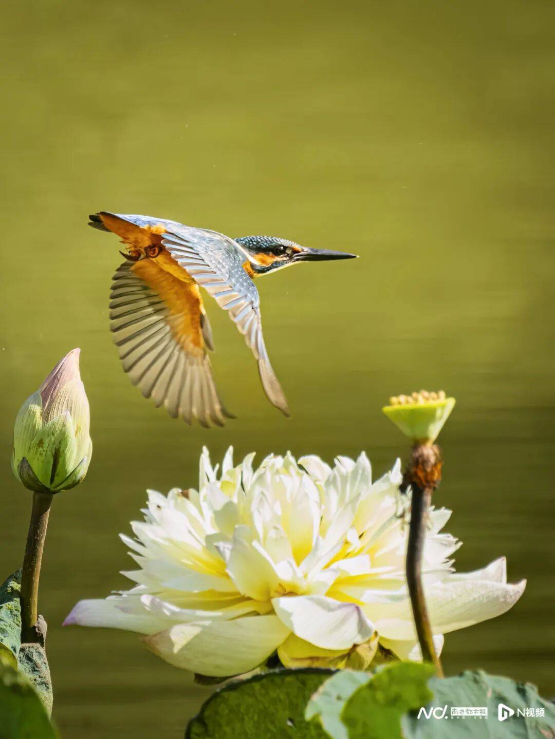 东莞最新发布:将严厉打击这些行为<strong></p>
<p>通富微电股票</strong>!