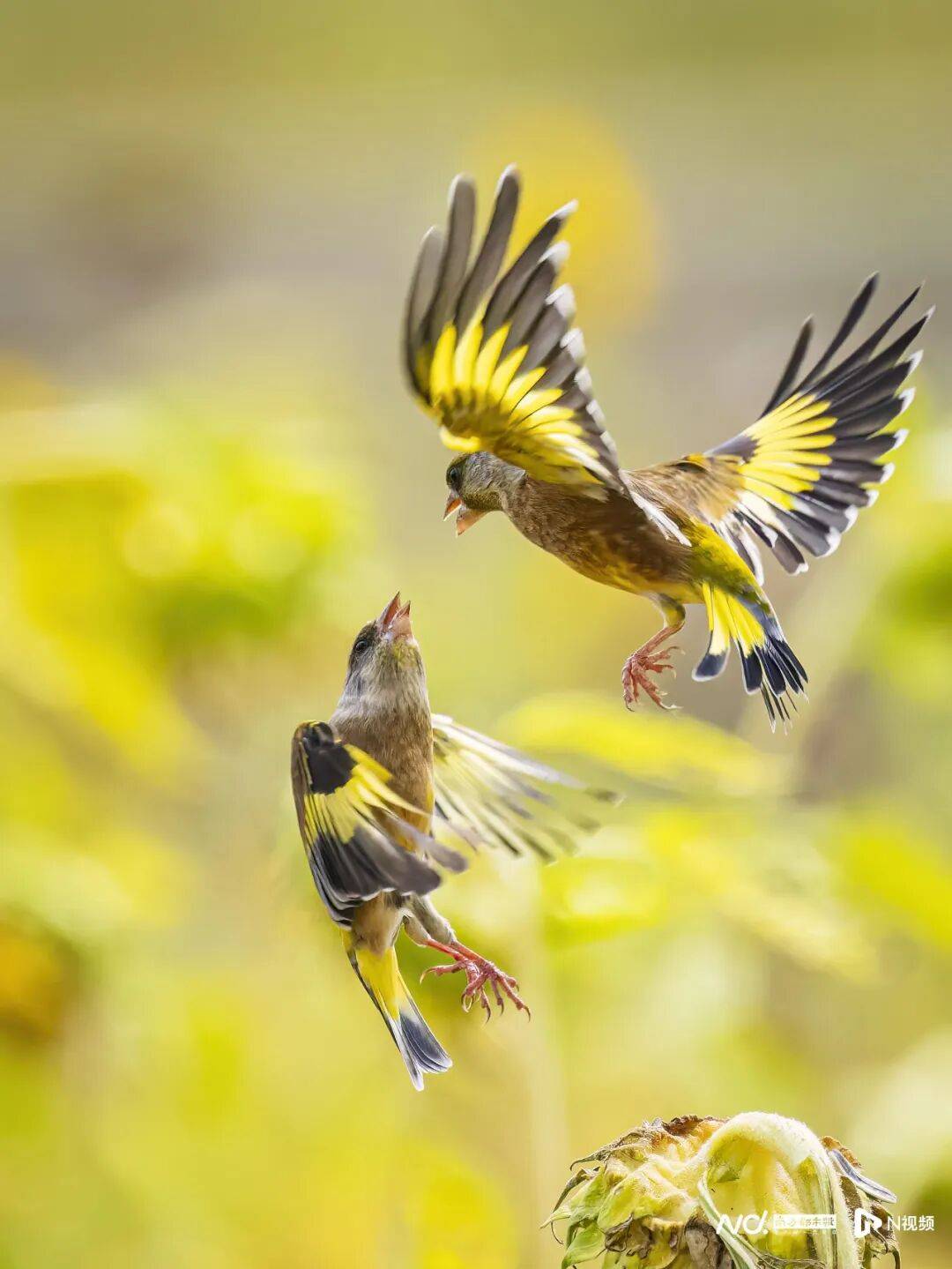 东莞最新发布:将严厉打击这些行为<strong></p>
<p>通富微电股票</strong>!