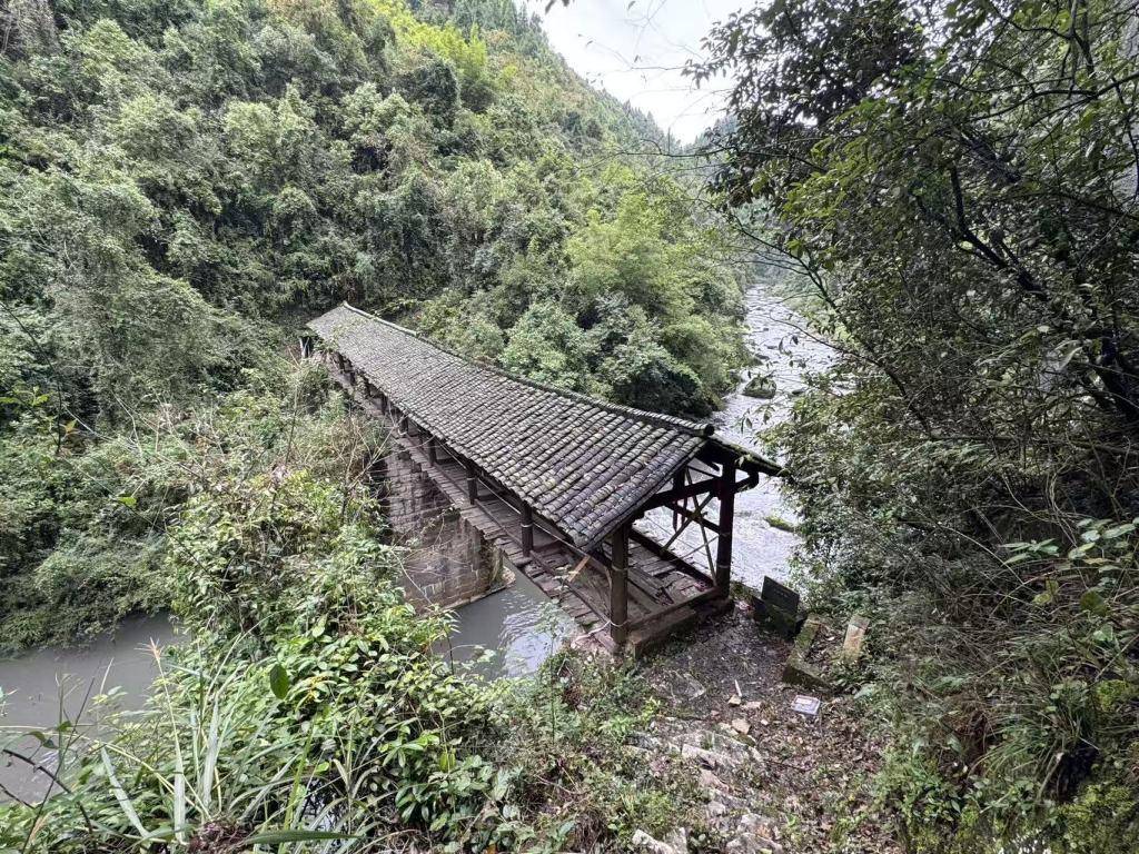 重庆孝子河一峡谷段水体呈灰黑色，当地通报：正排查源头