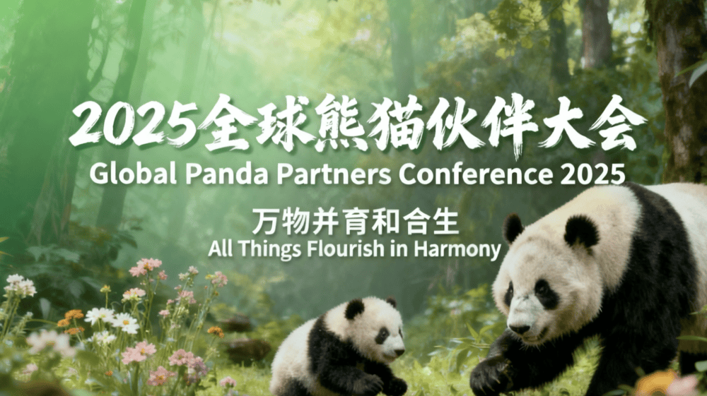 2025全球熊猫伙伴大会|万物并育和合生