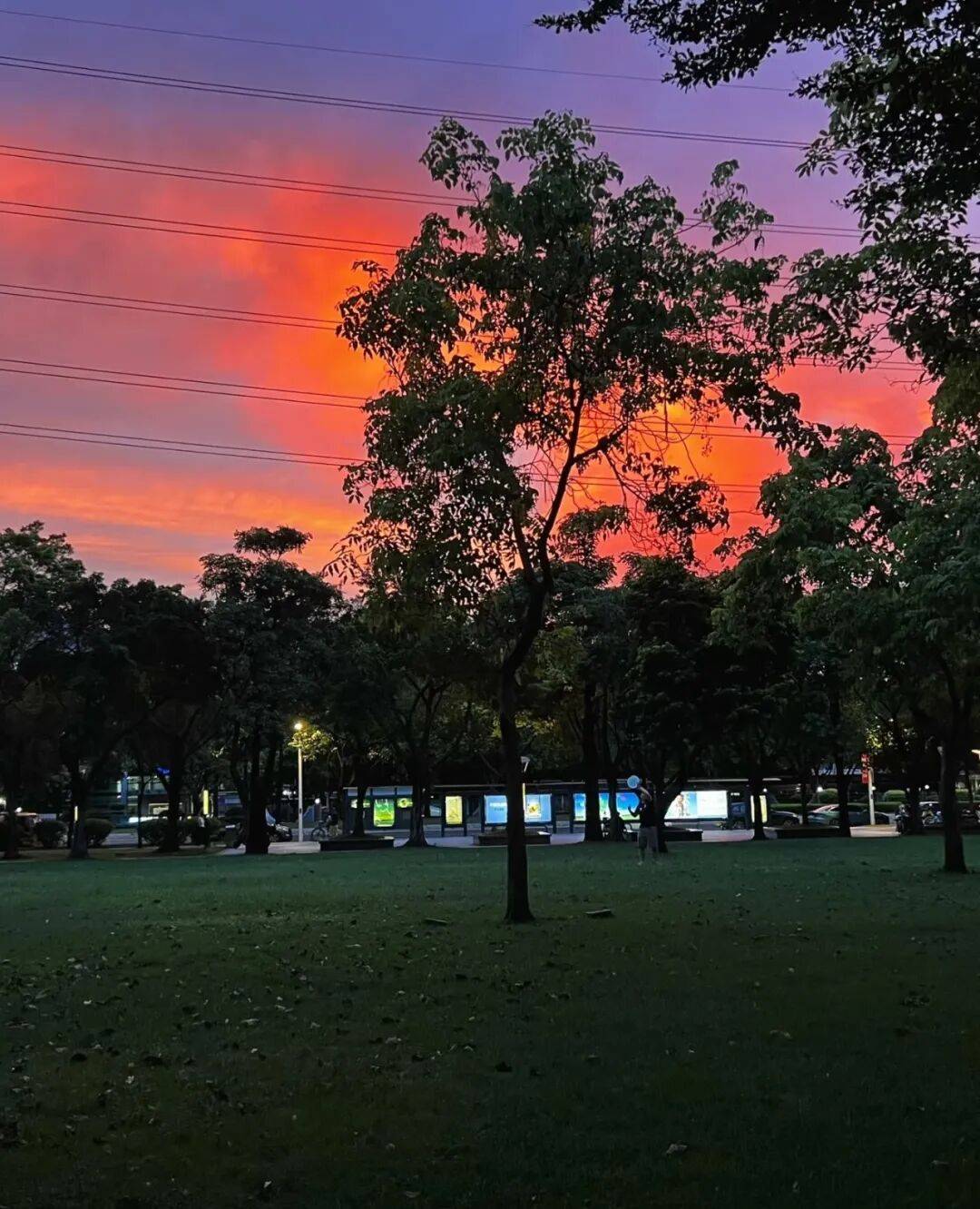 第一批丁克老后<strong></p>
<p>隆基绿能股票</strong>,“伴侣能陪一程,但最后都要靠自己”