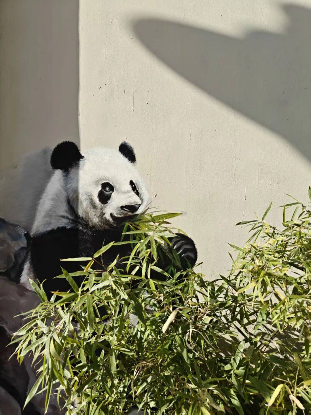 “颜值”出圈 天津和平区独山路这面彩绘墙“亮”<strong></p>
<p>微软股票</strong>了