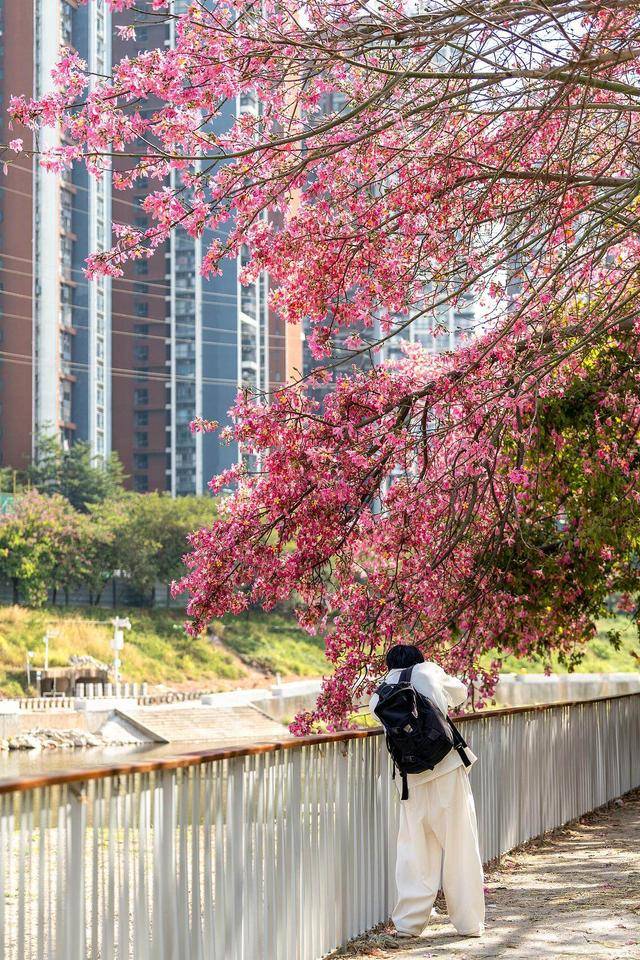 “广东人快被风干啦”!又有冷空气造访<strong></p>
<p>蔚来股票</strong>,“只降温不降雨”模式持续 | 温度记