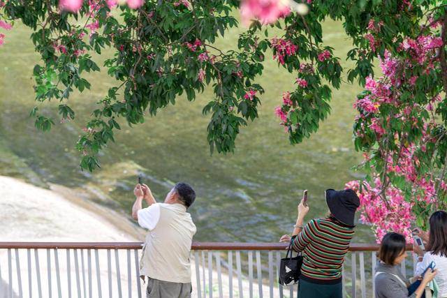 “广东人快被风干啦”!又有冷空气造访<strong></p>
<p>蔚来股票</strong>,“只降温不降雨”模式持续 | 温度记