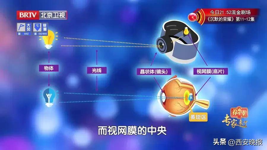 著名女演员放弃演戏!疾病恶化<strong></p>
<p>今日股票行情</strong>,已认不出任何人