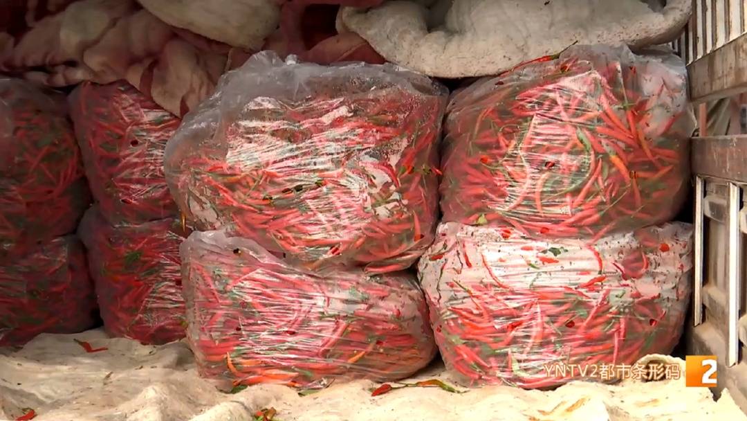 涨了！每公斤批发价20元以上！云南人餐桌上不可少……