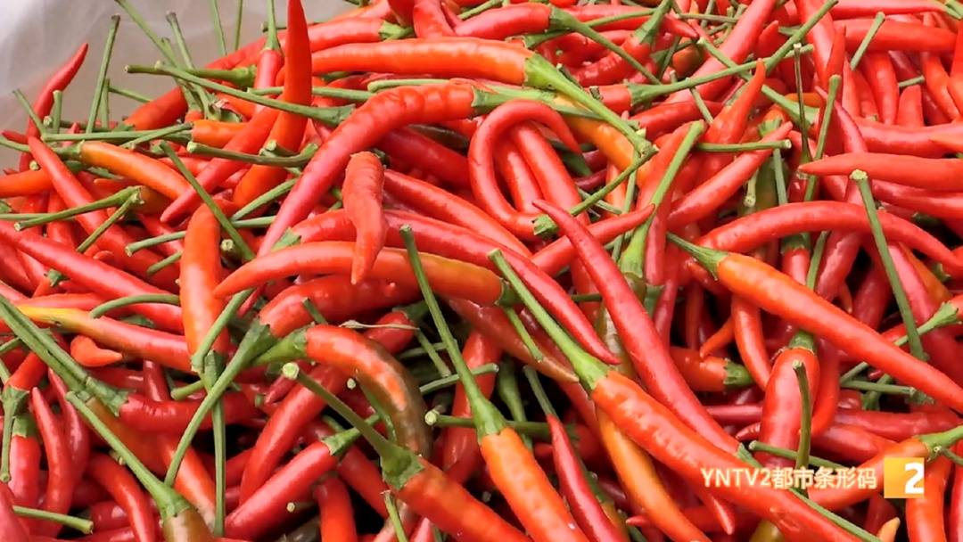 涨了<strong></p>
<p>中国重工股票</strong>！每公斤批发价20元以上！云南人餐桌上不可少……