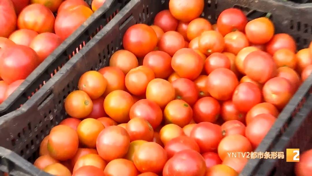 涨了<strong></p>
<p>中国重工股票</strong>！每公斤批发价20元以上！云南人餐桌上不可少……