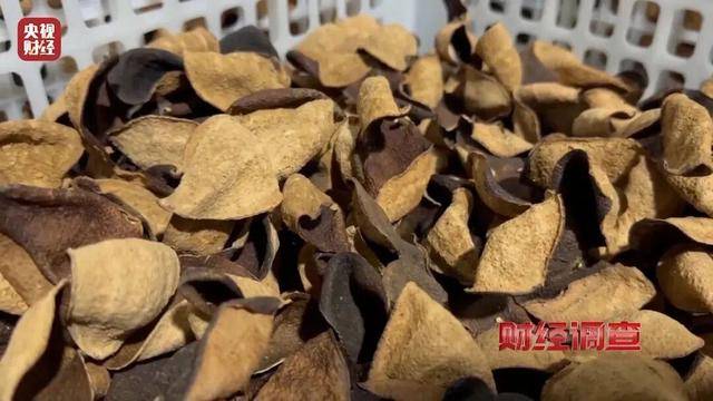 30天速成陈皮<strong></p>
<p>华夏幸福股票</strong>,成本仅70元,利润超成本10倍以上!央视起底陈皮跨省造假产业链