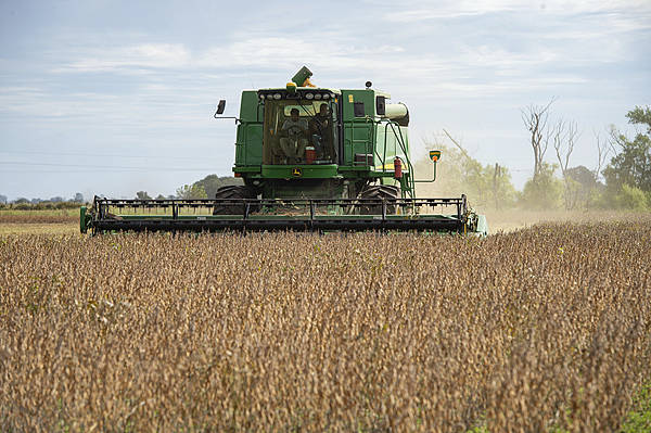 自上世纪90年代以来<strong></p>
<p>华夏幸福股票</strong>,中国首次购买阿根廷小麦
