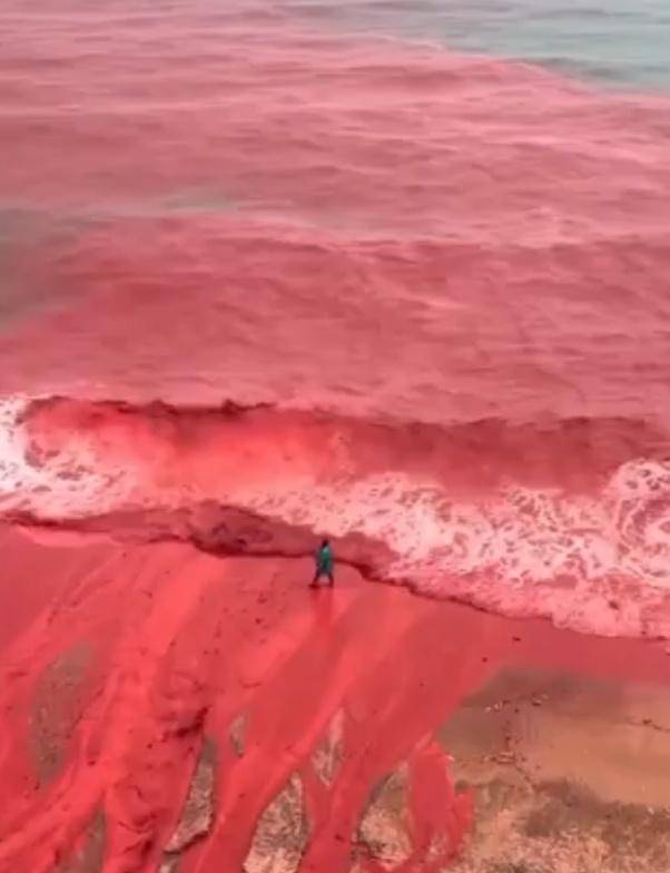 罕见！伊朗霍尔木兹岛遭遇强降雨<strong></p>
<p>中国核电股票</strong>，部分海域变成“血色海洋”