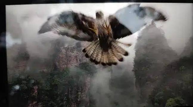 土耳其老鹰空中抓走无人机<strong></p>
<p>股票大盘</strong>，带上山顶“玩自拍”