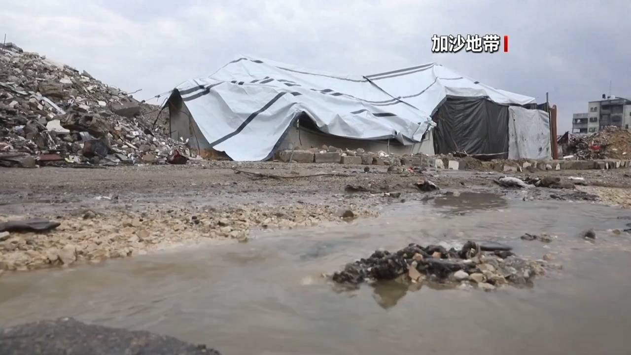 最新<strong></p>
<p>潍柴动力股票</strong>！法国、英国、加拿大、丹麦、芬兰等十国外长发布联合声明