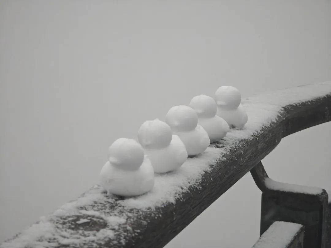 直降10℃<strong></p>
<p>亚马逊股票</strong>！南京又要下雪了