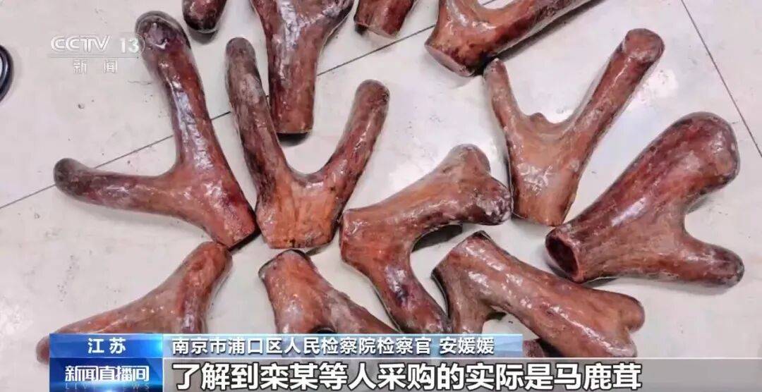 老人不买天价鹿茸被一脚踹翻<strong></p>
<p>中国铝业股票</strong>，南京一团伙暴力威逼老人买单，100多人被骗，涉案金额90余万元，多数老人乖乖回家拿钱，甚至被逼去银行取款