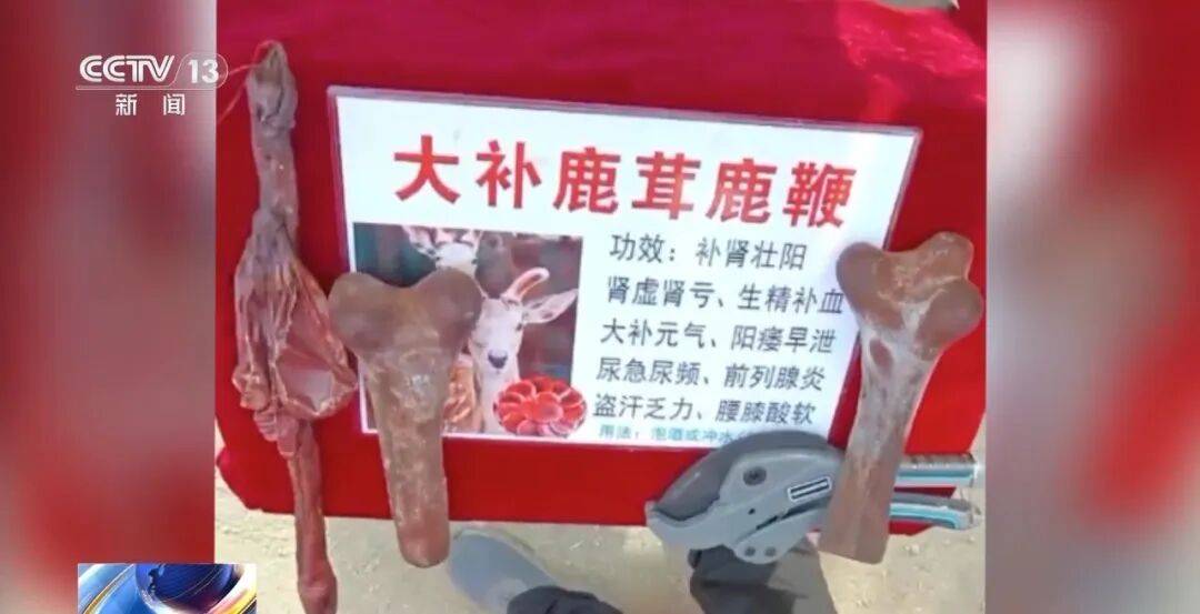 老人不买天价鹿茸被一脚踹翻<strong></p>
<p>中国铝业股票</strong>，南京一团伙暴力威逼老人买单，100多人被骗，涉案金额90余万元，多数老人乖乖回家拿钱，甚至被逼去银行取款